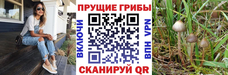 Псилоцибиновые грибы MAGIC MUSHROOMS  Купить где  Ужур 